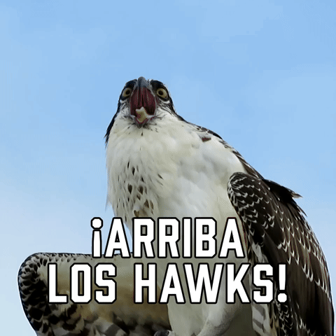 Β‘Vamos Los Hawks!
