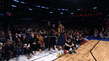 Black Panther Sport GIF by NBA