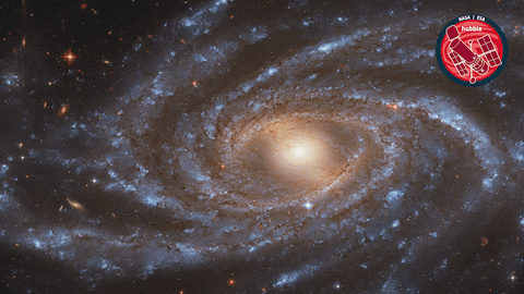 Universe Galaxy GIF by ESA/Hubble Space Telescope