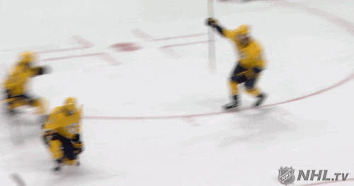 Celebrate Ice Hockey GIF by NHL