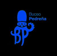 Buceopedrena buceo buceopedreña GIF