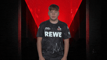 I See You Celebration GIF by Bundesliga