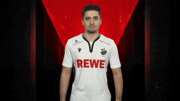 Sv Sandhausen Celebration GIF by Bundesliga