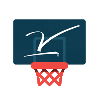 Basketball Hockey Sticker by V Foundation