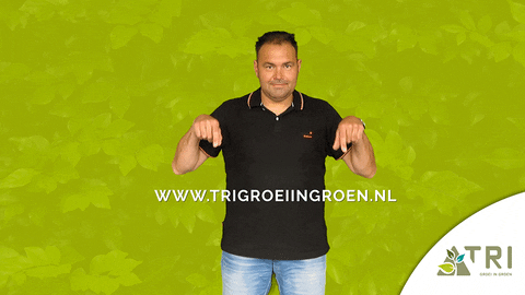 Boom Plant GIF by TRI Groei in Groen