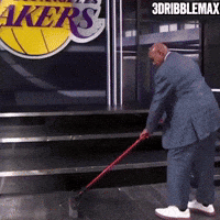 Lebron Lakers GIF