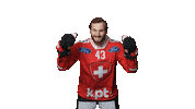 Celebration Sticker by Swiss Ice Hockey