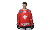 Celebrate Ev Zug Sticker by Swiss Ice Hockey