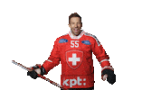 Celebrate Sc Bern Sticker by Swiss Ice Hockey