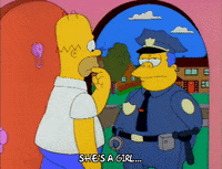 Season 3 Explanation GIF by The Simpsons