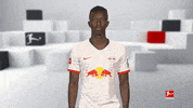 Red Bulls What GIF by Bundesliga