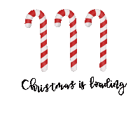 Kwaerdenker christmas candy a loading Sticker