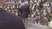 Joe Biden GIF by GIPHY News