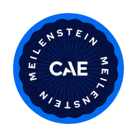 German Deutsch Sticker by CAE