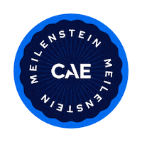 German Deutsch Sticker by CAE