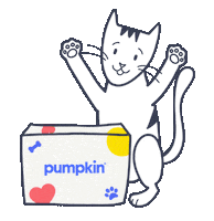 Embrace Lemonade Insurance Sticker by Pumpkin