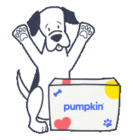 Embrace Lemonade Insurance Sticker by Pumpkin