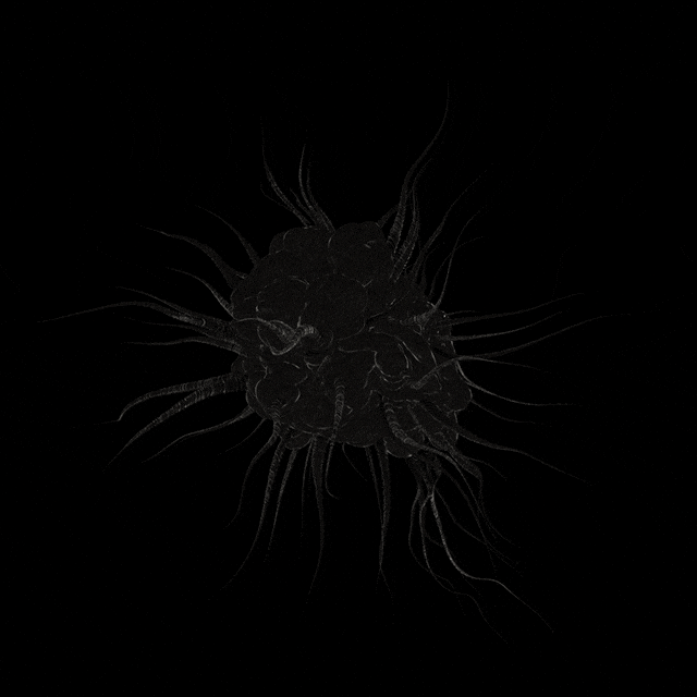 xponentialdesign giphyupload loop health science GIF