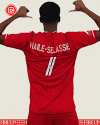 Chicago Fire Celebration GIF by Chicago Fire Football Club