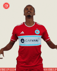 Chicago Fire Celebration GIF by Chicago Fire Football Club