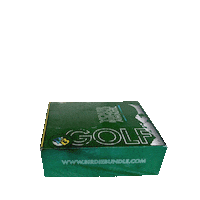 Ryder Cup Golf Sticker by BirdieBundle