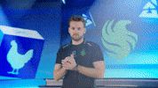 Esports Falcons GIF by BLAST