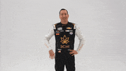 Happy Kyle Busch GIF by Richard Childress Racing