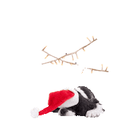 Dog Christmas Sticker by Bazoeki