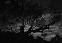 i married a witch ren clair GIF by Maudit