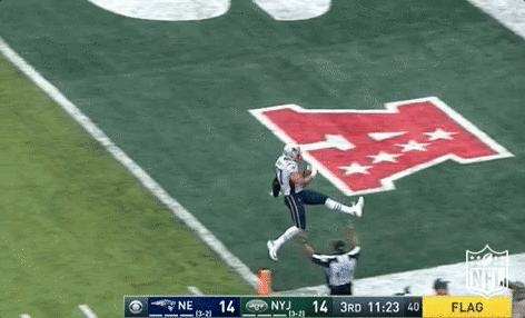 New England Patriots Football GIF by NFL