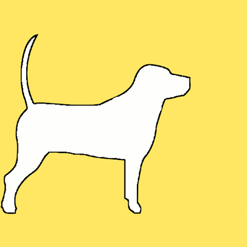 sendaway GIF by Positively Pets