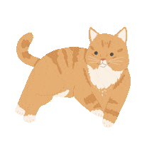 Happy Birthday Cats Sticker by petall