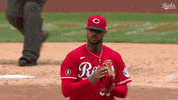 Baseball Mlb GIF by Cincinnati Reds