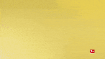 Borussia Dortmund Football GIF by Bundesliga