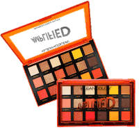 KleanColor beauty makeup color orange Sticker