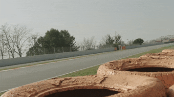 redbullracing 2019 f1 mv driver GIF