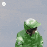 Whr Yes GIF by World Horse Racing