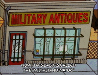 homer simpson GIF