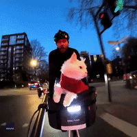 London Cyclist Takes Cat for a Ride