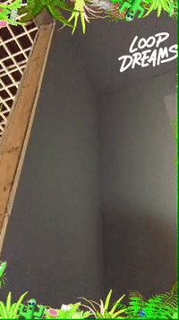 framebeta GIF