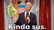 Snl GIF by Saturday Night Live