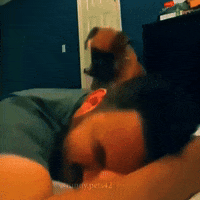 GIF by Martin