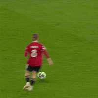 Magic Park GIF by Manchester United
