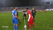 Superligasrbije GIF by sportmts