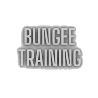 bungeetrainingargentina bungee Sticker