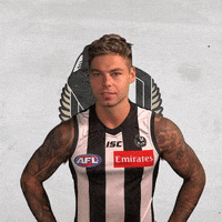 collingwoodfc pies collingwood magpies collingwoodfc GIF