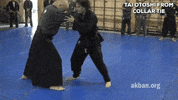 martial arts mma GIF by AKBAN Academy