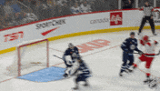 Happy Carolina Hurricanes GIF by NHL