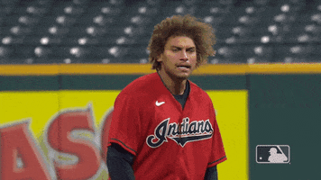 Lets Go Yes GIF by MLB