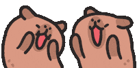 Capybara Wow Sticker by sansanplanet